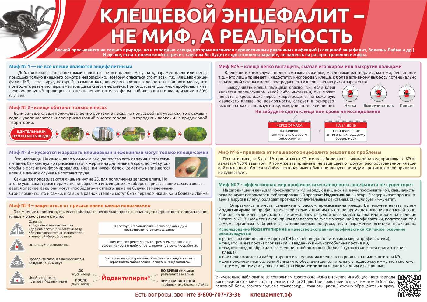 Вакцинация от клещевого энцефалита экстренная схема Вакцинация от клещевого энцефалита экстренная схема